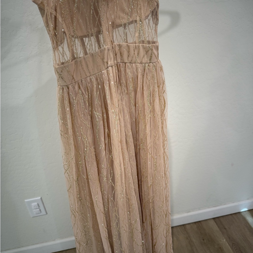 Windsor Nude and Gold Maxi Dress - Picture 3 of 3